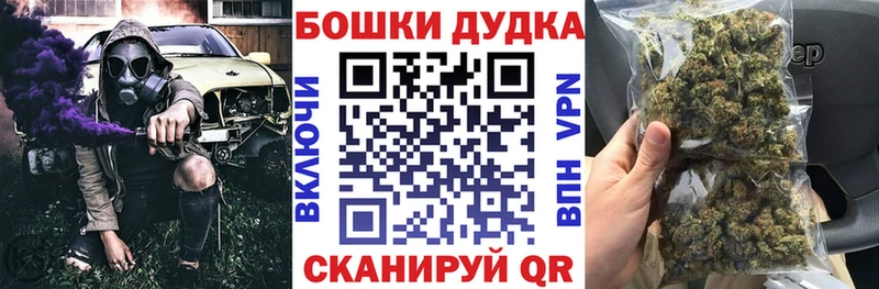 площадка наркотические препараты  Киржач  Конопля сатива 